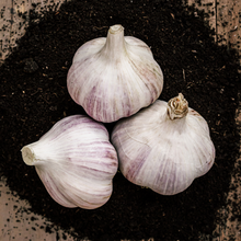 Load image into Gallery viewer, GARLIC KIT
