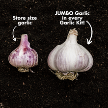 Load image into Gallery viewer, GARLIC KIT
